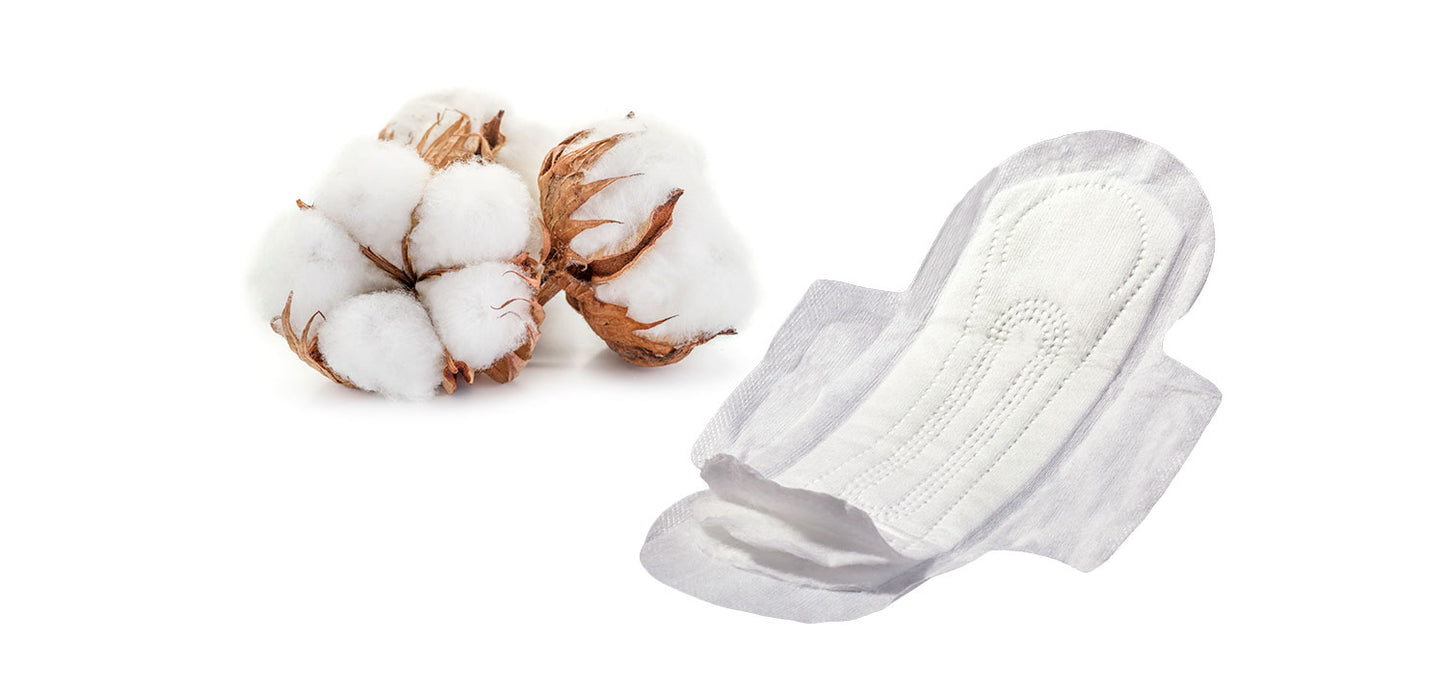 Salvaslip In Cotone Biologico Certificato Biodegradabili