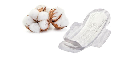 Assorbenti Ali Giorno in Cotone Bio Compostabili